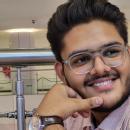 Daksh Chaudhary photo
