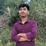 Prince Class I-V Tuition trainer in Chhapra