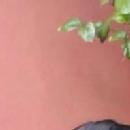 Avani B T photo