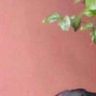 Avani B T Class 12 Tuition trainer in Kochi