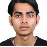 Lovkush Mishra Class I-V Tuition trainer in Delhi
