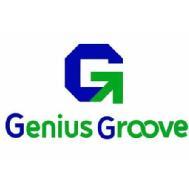 Genius Groove Digital Marketing institute in Salem