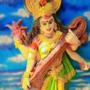 Krishna Patel photo