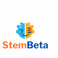 stembeta Kids Coding institute in Kolkata