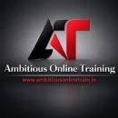 Photo of Ambitious Training
