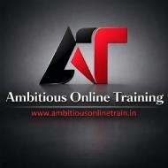 Ambitious Training Class 12 Tuition institute in Pune