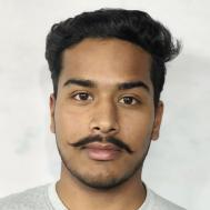 Yash Bharadwaj Class I-V Tuition trainer in Mathura