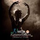 Naatyakalamandalam School of Dance Health and Fitness institute in Mavelikara