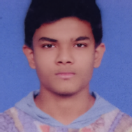 Ankan Show Class 12 Tuition trainer in South 24 Parganas