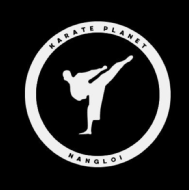 Karate planet nangloi Self Defence institute in Delhi