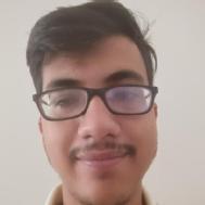 Ankit Singh Class 12 Tuition trainer in Ranchi