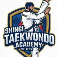 Shingi Taekwondo Academy  Self Defence institute in Khammam