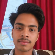 Raushan Kumar Class I-V Tuition trainer in Patna