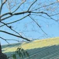 Vikas Shastri Class 7 Tuition trainer in Delhi