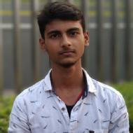 Prince Kumar Class I-V Tuition trainer in Patna