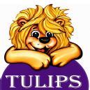 Tulips Kids photo