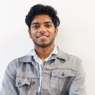 Priyanshu Class 8 Tuition trainer in Delhi