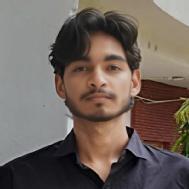 Prince Yadav Class 8 Tuition trainer in Delhi