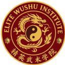 Elite Wushu Institute photo