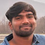 Ulpara Praveen Kumar Class 12 Tuition trainer in Hyderabad