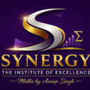 SYNERGY – The Institute of Excellence photo