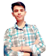 Satyam Kumar Class 8 Tuition trainer in Delhi