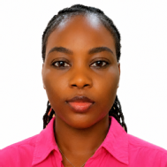 Olowolafe T. Class I-V Tuition trainer in Lagos
