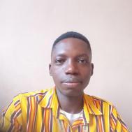 Bernard Ajibola Class 12 Tuition trainer in Enugu