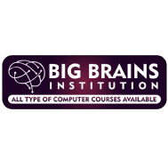 Big Brains Computer Institute Digital Marketing institute in Phagwara