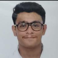 Harsh Agarwal Class I-V Tuition trainer in Ahmedabad
