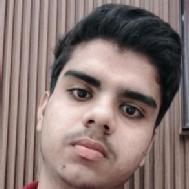 Harshit Singh Rajput Class 12 Tuition trainer in Lucknow