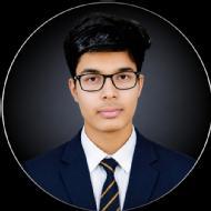 Aditya Alok Class I-V Tuition trainer in Faridabad