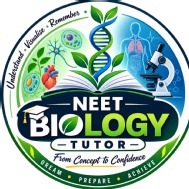 Siddhipath Class 12 Tuition institute in Hyderabad
