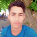 Md Dilwar Online Tutors trainer in Araria
