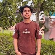 Nikhil Mathur Class I-V Tuition trainer in Suratgarh
