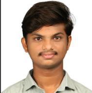 Chilupuri Phanichandra Class I-V Tuition trainer in Warangal