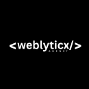 WebLyticx Agency Digital Marketing Training institute in Ludhiana