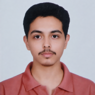 Kartik Kumar Kids Coding trainer in Delhi