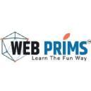 WebPrims Computer Training Institutes institute in Amritsar
