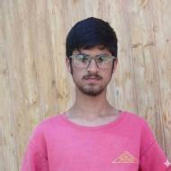 Imran Hussain Dar Class I-V Tuition trainer in Ananthnag