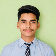 Avinash Singh Class I-V Tuition trainer in Sitapur