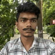 Pranav Singh Narwariya Class I-V Tuition trainer in Gwalior