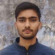 Ankit Chaudhary Hindi Language trainer in Debai
