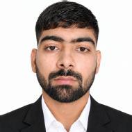 Prince Dabas Class 12 Tuition trainer in Bhiwani
