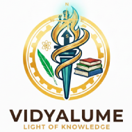 VIDYALUME ACADEMY Class 12 Tuition institute in Chennai