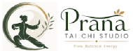 Prana Tai Chi Studio Tai Chi institute in Chennai