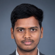 Dharaneeswar Varikuti Kids Coding trainer in Tenali