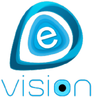 evisiontechnoserve Microsoft Excel institute in Noida