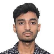 Kartikeya Gupta Class 11 Tuition trainer in Chandigarh