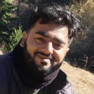 Gaurang Sharma Class 11 Tuition trainer in Hathras
